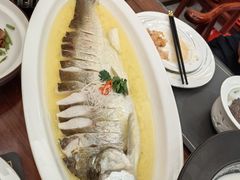 -鲁宴·鲁煨黄河生态大鲤鱼(月坛店)