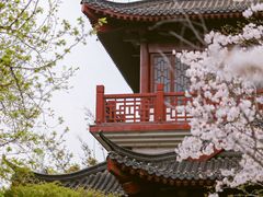 -堤角公园