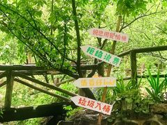 -山水农家乐