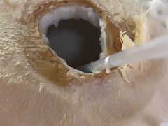 -仙境豆夫(步行街旗舰店)