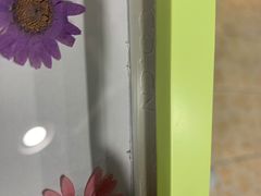 -上海大自然野生昆虫馆(东方明珠·爬宠昆虫探索中心)
