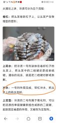 -格调形象