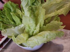 -合意桐坑牛肉粿·鲜牛肉火锅(嵩山总店)