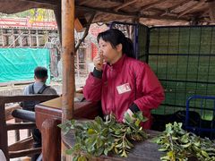 -长鹿旅游休博园