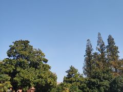 -南京钟山宾馆(江苏省会议中心)
