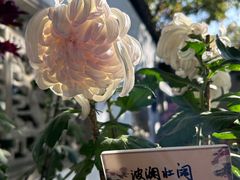 -杭州植物园