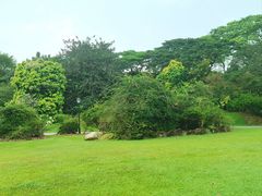 -新加坡植物园