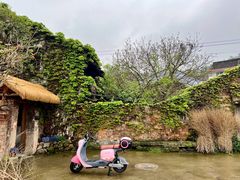 -东钱湖旅游度假区