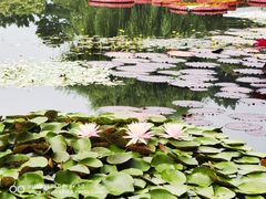 -国家植物园南园