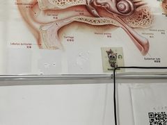 -自然之声助听器·呼吸机(贵定店)