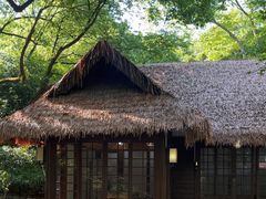 -中国茶叶博物馆(双峰馆区)