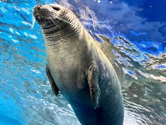 -上海海洋水族馆