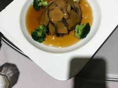美极百灵菇-光明邨大酒家(汇阳广场店)