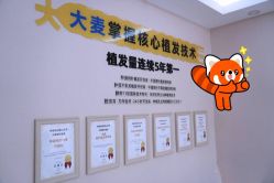 -大麦微针植发丨全国连锁