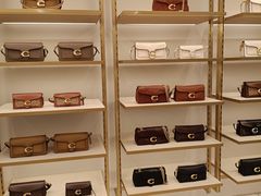 -COACH蔻驰(双安商场店)