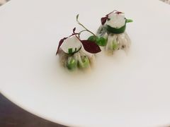 -觀芷隐轩