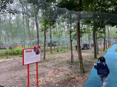 -合肥滨湖国家森林公园