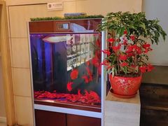 -宫七SPA·高端Massage(浦东大道店)