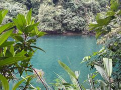 -鼎湖山风景区