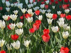 -长春公园(普阳街道)