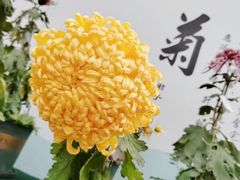-南山植物园