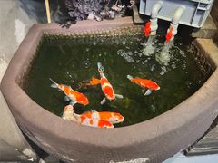 -愉肴麻辣香锅(中山路店)