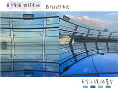 -百万葵园
