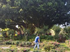 -人民公园(罗湖区)