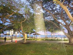 -东海岸人工湖美食村