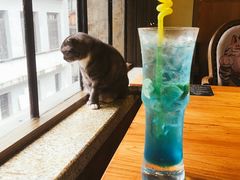 -more than meow吴止猫主题餐厅(承德 中船汇店)