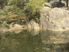 -嵖岈山风景区