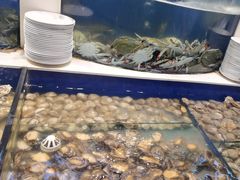 -海天盛宴新派海鲜自助餐厅(群力店)
