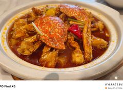 -皇马假日醉海南大酒店·假日一品派茶楼(秀英店)