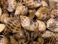 -合肥皇冠假日酒店·菲亚斯特自助餐厅(黄山路店)