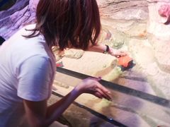 -沈阳海洋探索中心