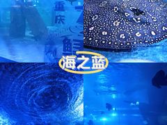 -重庆欢乐海底世界