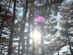 -黄山白云宾馆