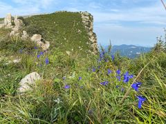 -灵山