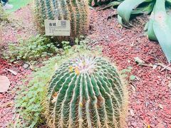 -呀路古热带植物园