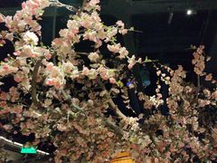 -绿茶餐厅(朝阳大悦城店)