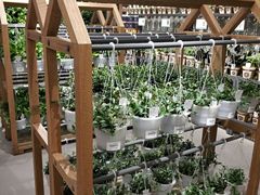 -鹿岛会员店 (龙湖三千集天街店)