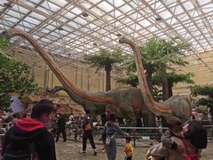 -国家自然博物馆