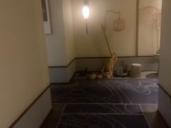 -鼎族怡华·指压·经络·疗愈SPA(紫荆店)
