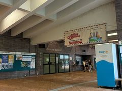 -香港大学