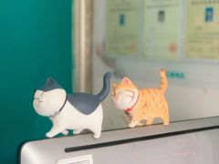 -安安宠医·安宠宠物医院