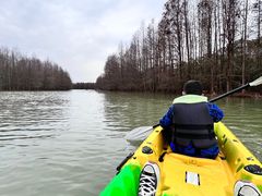 -上海海湾国家森林公园