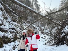 -峡谷浮石林景区