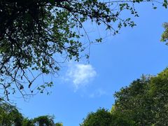-海口火山口国家地质公园