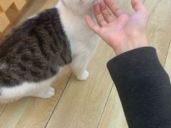 -正南奇北·怪味胡豆(较场口夜市店)