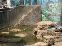 -无锡动物园·太湖欢乐园